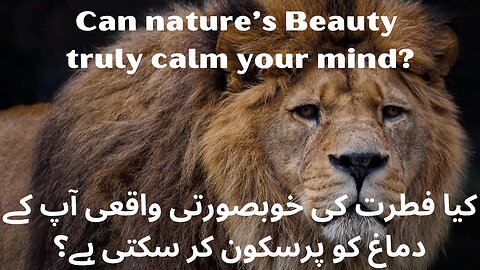 Want to escape into nature’s hidden Eden?