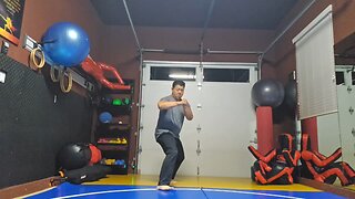 WTD 2 Step Kick Combination 187