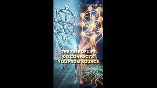 The Base-10 Trap: Why the Tree of Life Doesn’t Lead to God