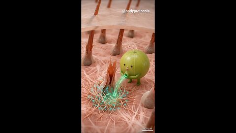 Strengthens hair roots and helps reduce hair fall naturally.