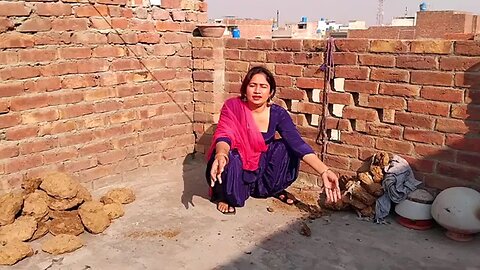 Punjabi vlog