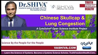 Dr.SHIVA™: Skullcap on Lung Health @CytoSolve® Systems Analysis(3/22)