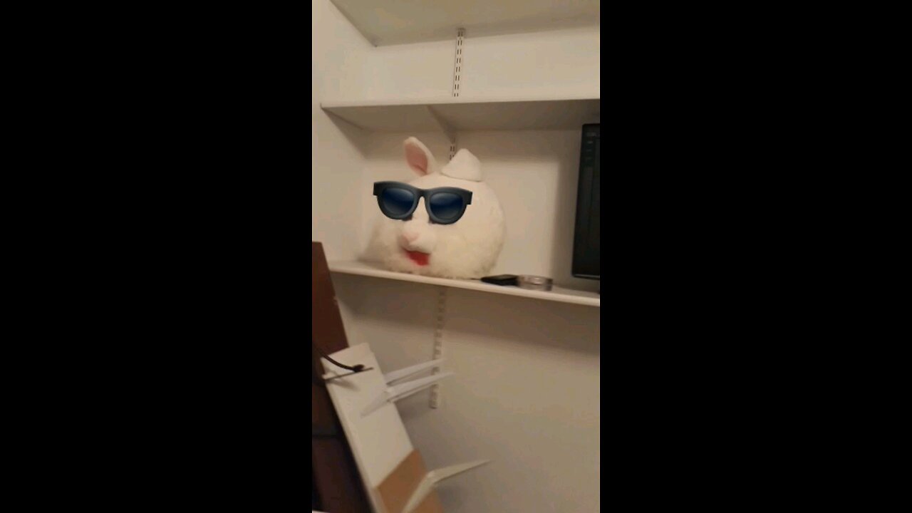 Imagin robbing a bank with this mask (2018)
