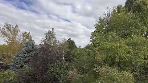 A good day outside