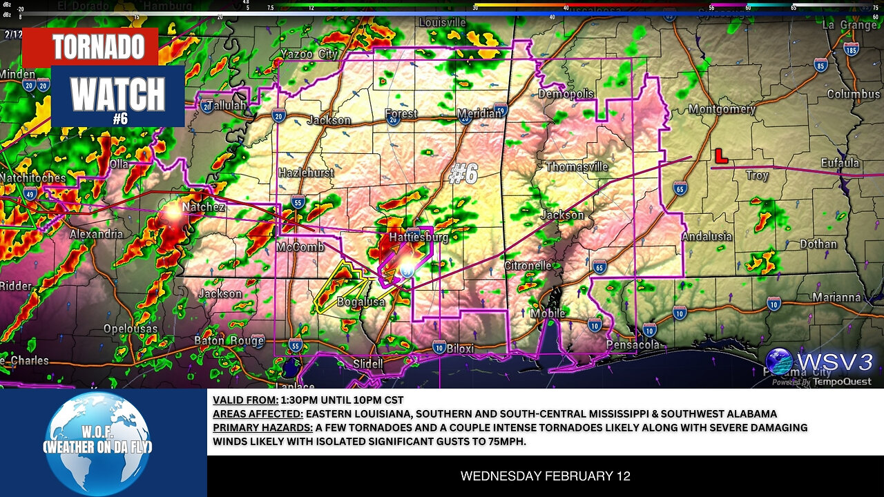 🌪️ Significant Tornado Watch: LA, MS, AL Alert Until 10 PM! 2/12/25 #shorts #weather