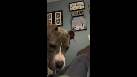 The gift of a gurgling belch