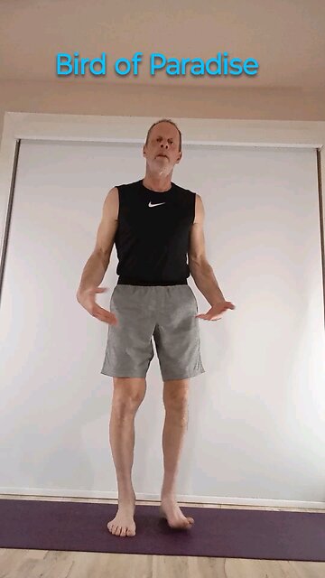 Bird of Paradise / Svarga Dvijasana