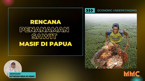 Rencana Penanaman Sawit Masif Di Papua | Economic Understanding