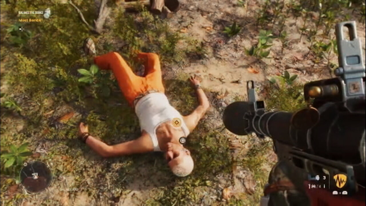 feather weight chicken champ 🐓#2