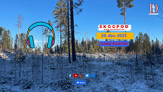 Skogpod 20. desember 2025