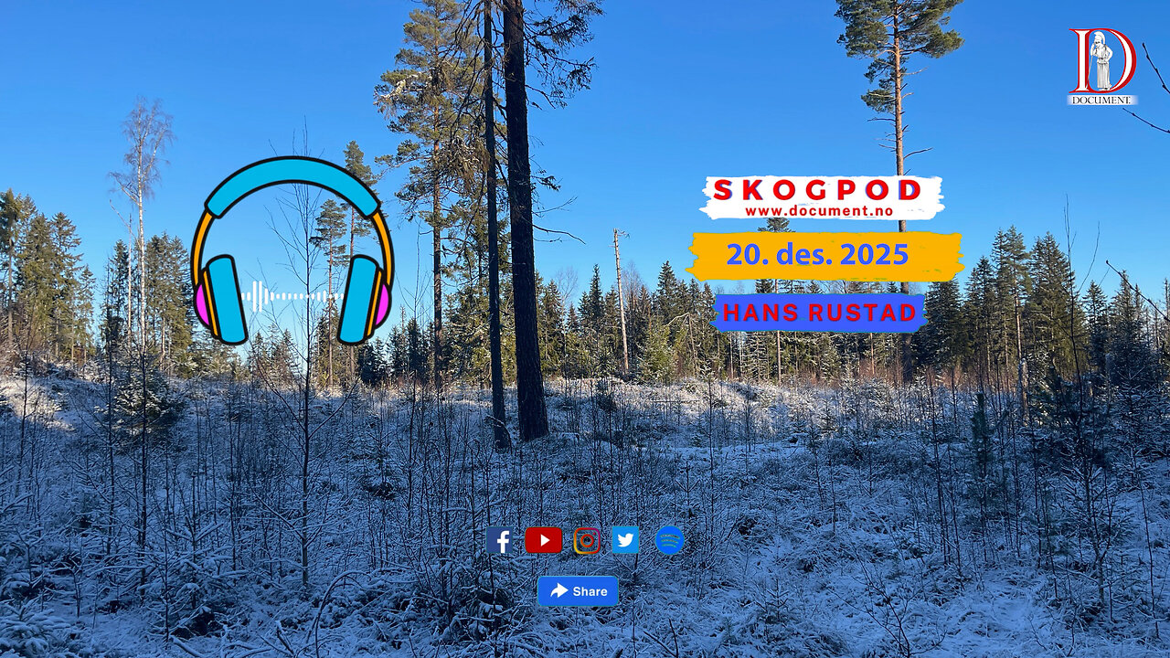 Skogpod 20. desember 2025