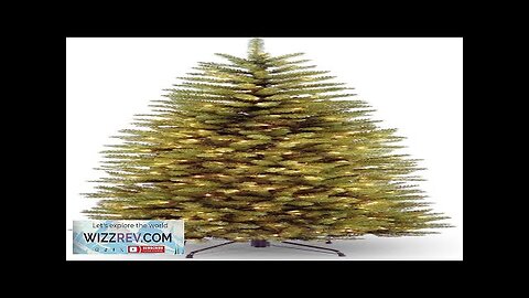 National Tree Company Artificial Pre-Lit Slim Christmas Tree Green Kingswood Fir White Review