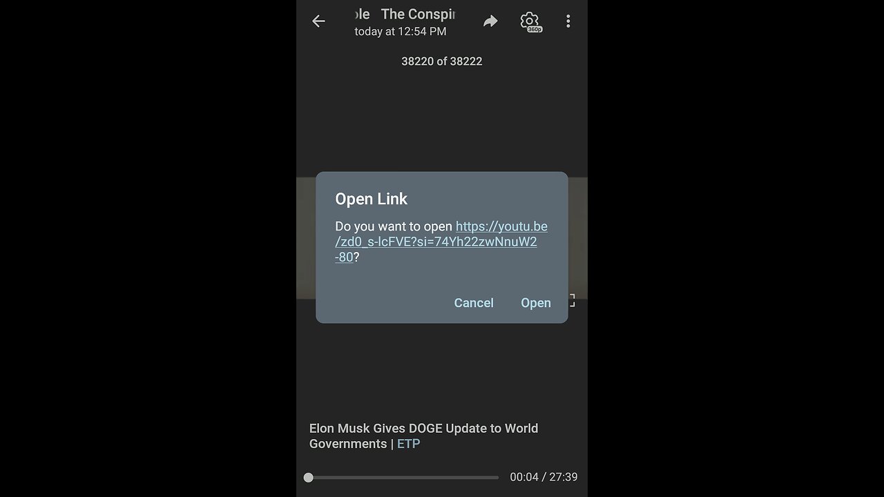 Documentary: Elon Musk and World Governments