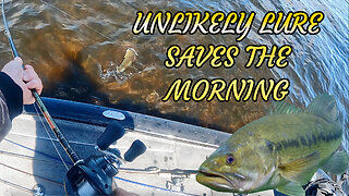 Unlikely Lure Saves The Morning Fishing