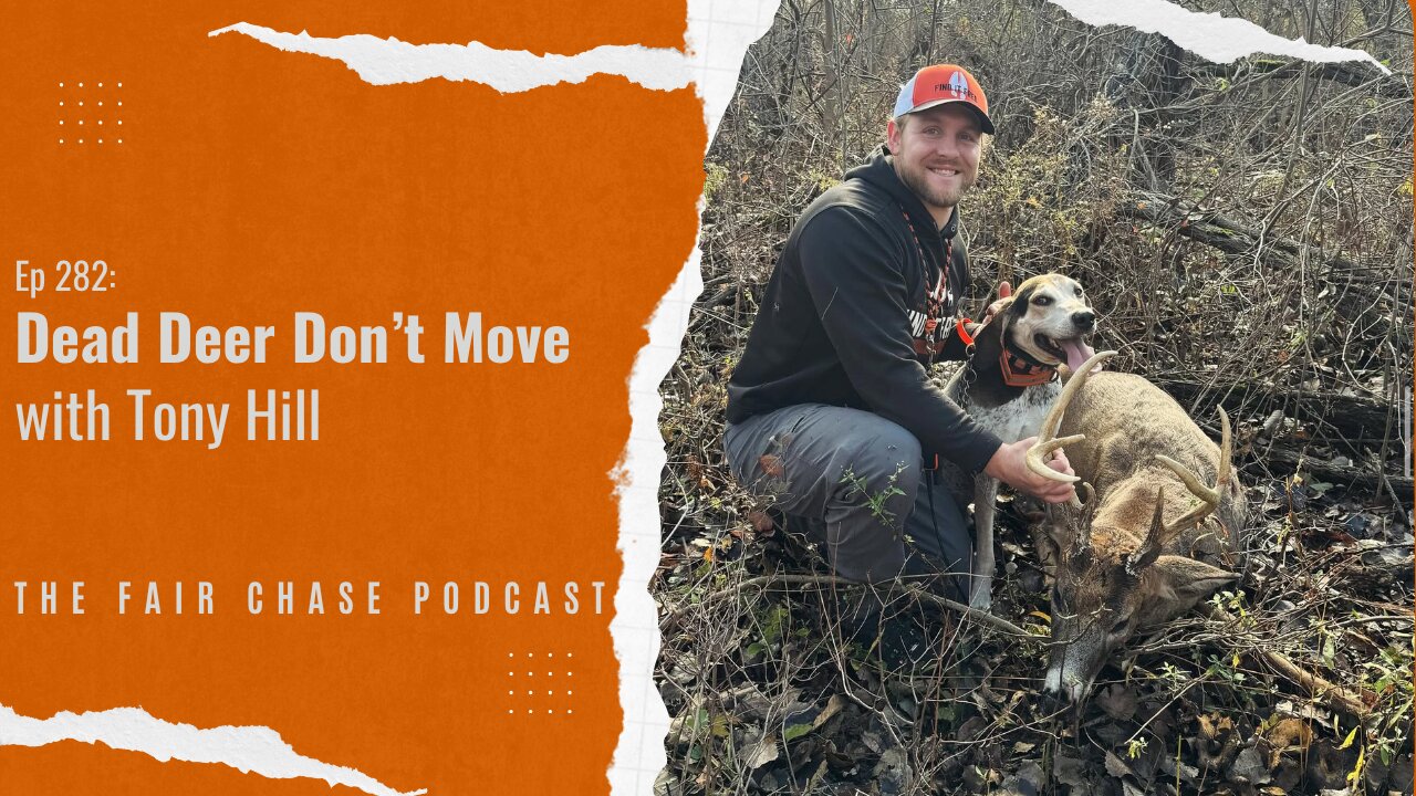 Dead Deer Don't Move - w/ Tony Hill