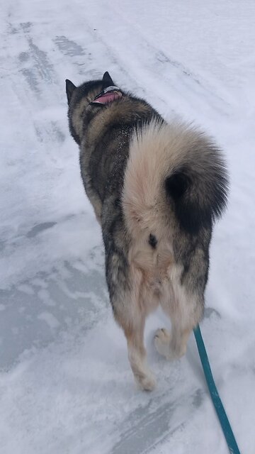 Sunday March 2, Jesus Christ is the same yesterday, today and forever.