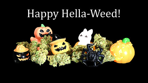 inTERPretations: Sativa (is Indica)
