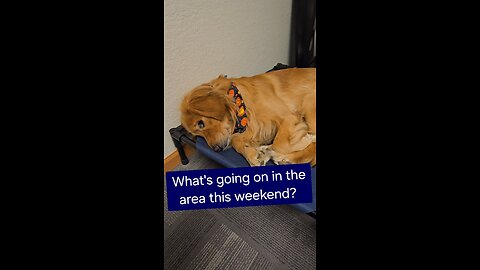 What's going on this weekend?