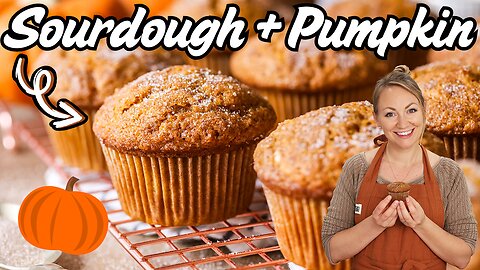 Sourdough Pumpkin Muffins