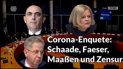 " BRISANT : DIE GEHEIMEN SITZUNGEN DER CORONA-ENQUETTE KOMMISSION " - Prof. Stefan Homburg