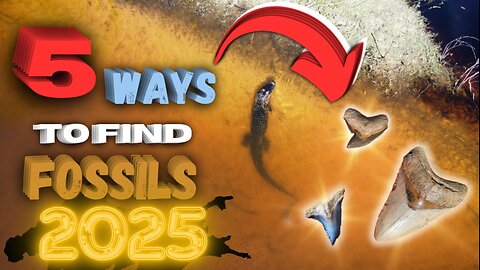 5 Easy Ways to FIND FOSSILS in 2025 in ONLY 5 Minutes!!