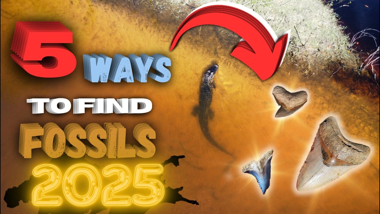 5 Easy Ways to FIND FOSSILS in 2025 in ONLY 5 Minutes!!