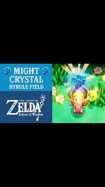 The Legend of Zelda: Echoes of Wisdom | Might Crystal | Hyrule Field
