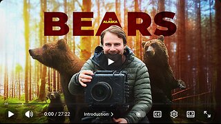 I Spent 30 Days With Bears In Remote Alaska. It Didn't Go As Planned
