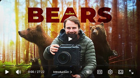 I Spent 30 Days With Bears In Remote Alaska. It Didn't Go As Planned