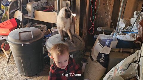 Graham Family Farm NW: Sunday Morning - October 5 2025