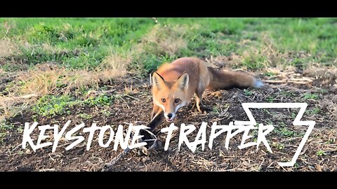 2025-2026 Trapping Season, A few catches