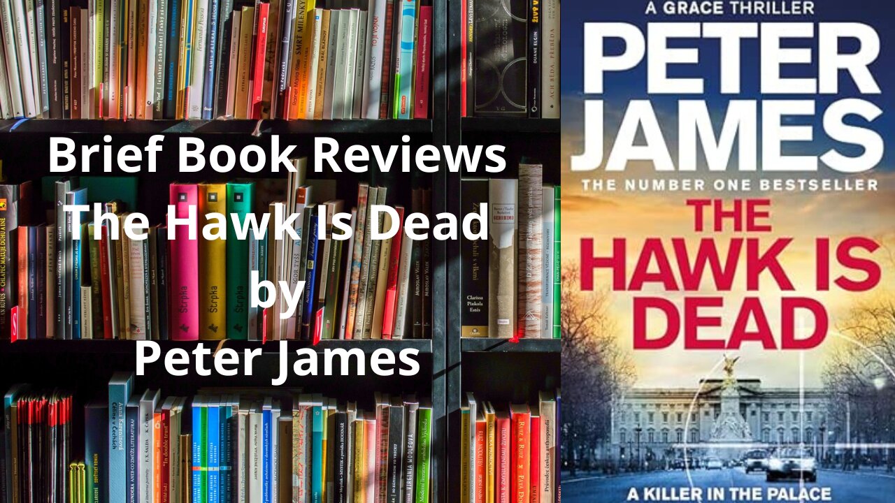 Brief Book Review - The Hawk Is Dead by Peter James