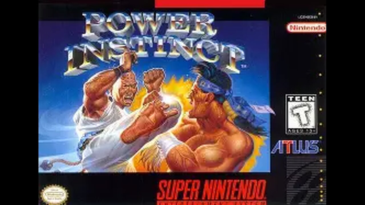 Snes Rom Power Instinct
