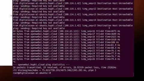 Human Revue of Pi's Netbird Data Center