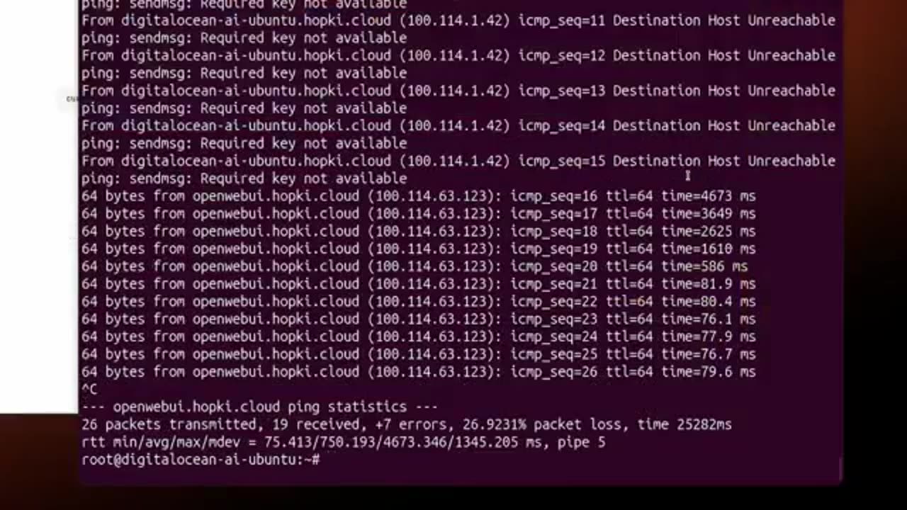 Human Revue of Pi's Netbird Data Center