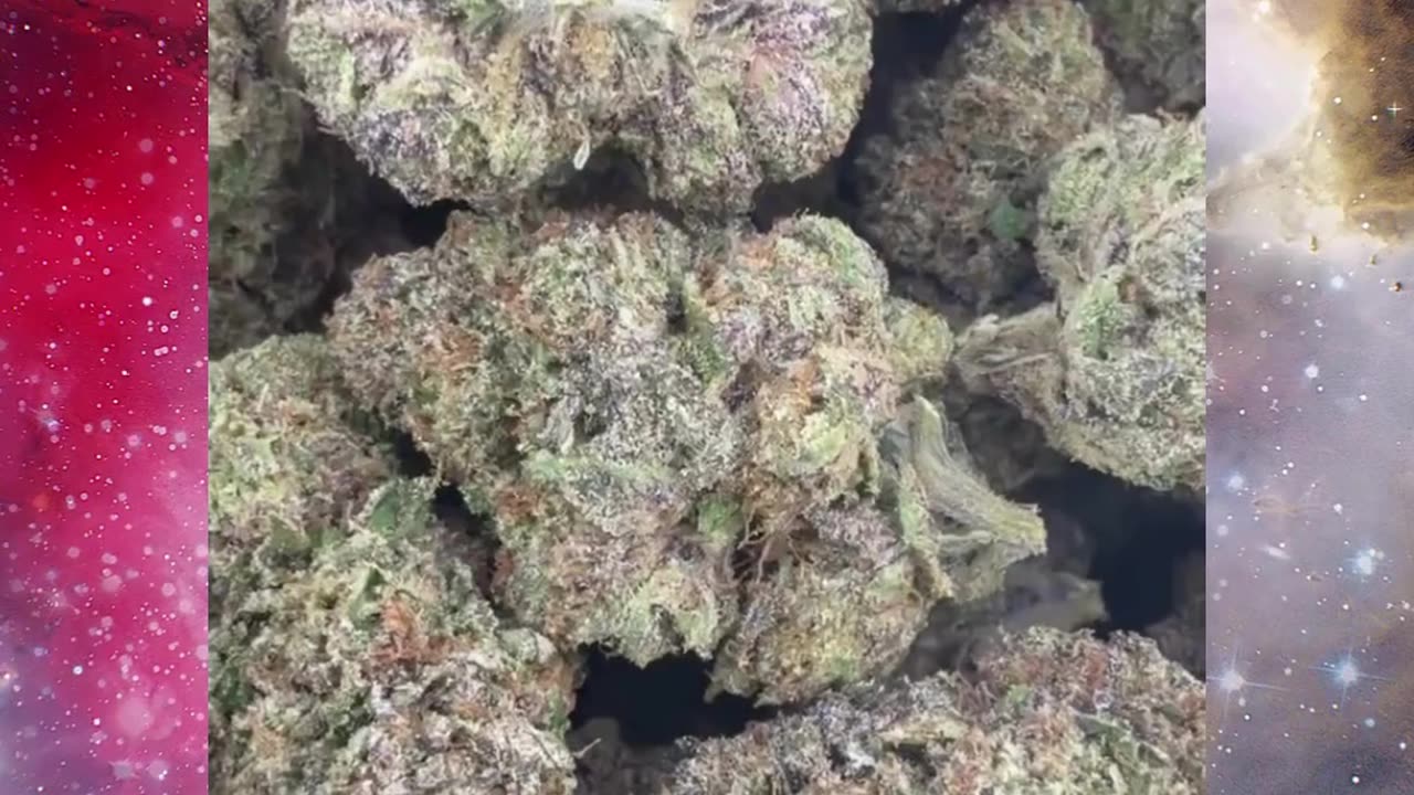 Zereal THCa Flower | 21% Hybrid | Fruity Cereal Vibes | Creative, Focused, Uplifting Energy | #thca