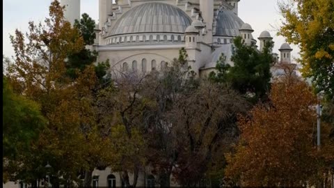 Daily Horoscope | Taurus 🌟