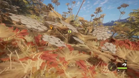 Hunter Call of the Wild First Video