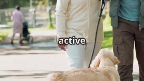 Caring for Your Senior Dog Tips for