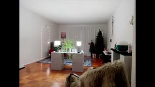 Coming from PROVERBS (KJV) 😇🙏 (Concentration). Amen.