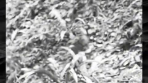 😧👹 Paranormal Activity You Can't Explain! | TheHauntingHour