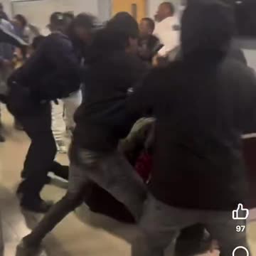 Tiffany Henyard, jumps into a brawl during township meeting