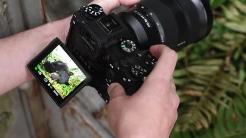 Unlock Stunning Photos & Videos with the Sony a7 III – Here’s Why You Need It!