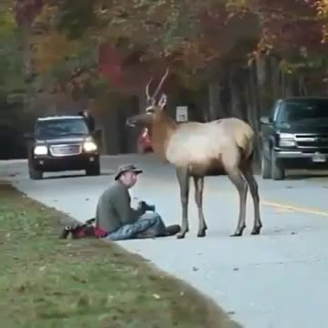 Smile friend party 4