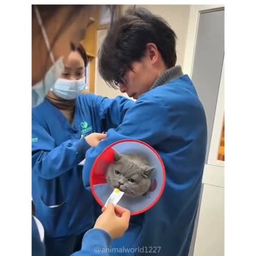 Funniest Video Compilation | Try Not to Laugh! 😂