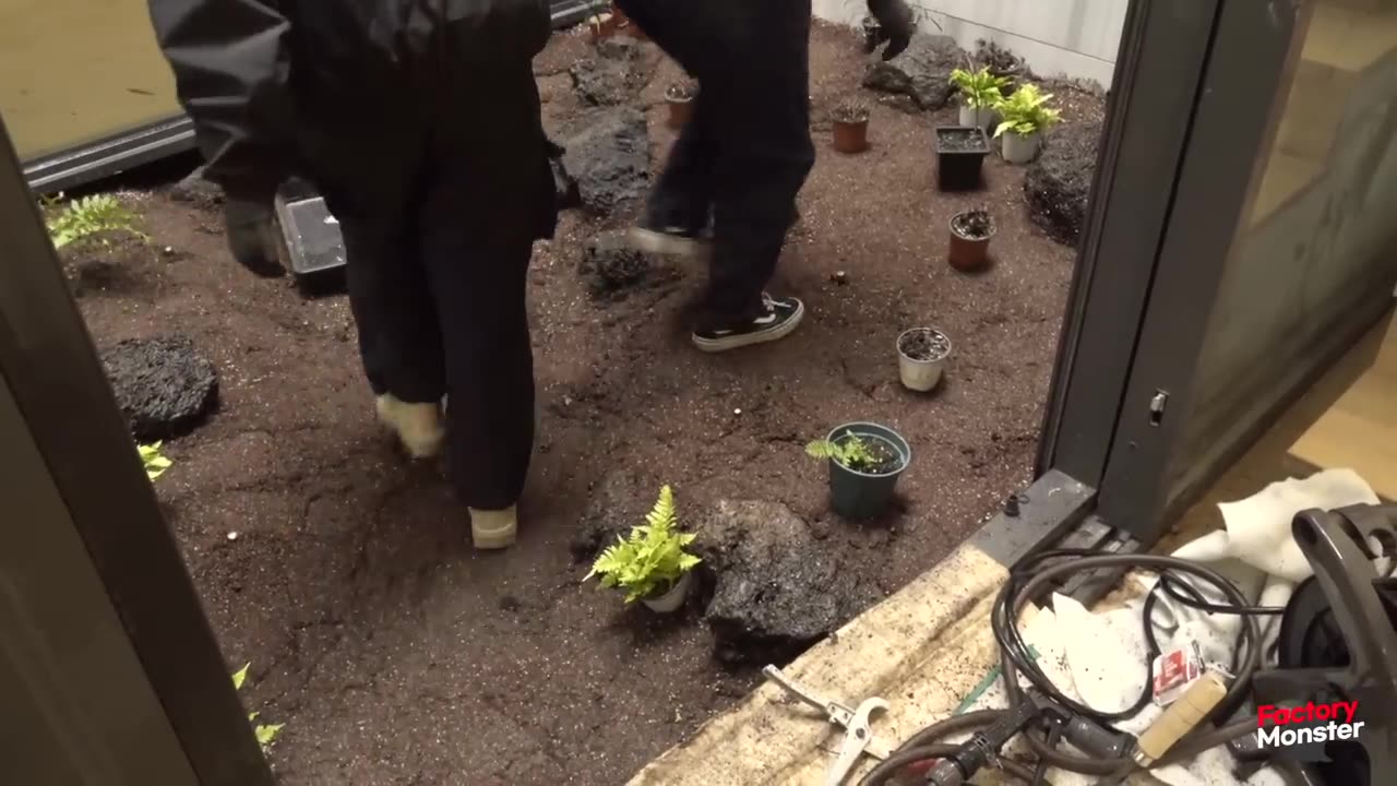 moss garden in a house