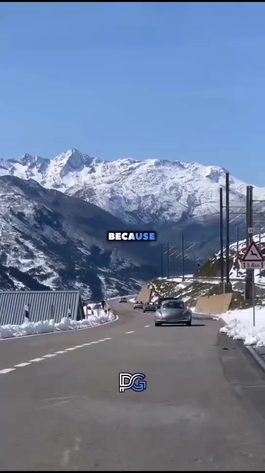 Monkeys Choose Bananas 🤩🤗