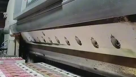 😮🔧 Watch a Currency Cutting Machine in Action! | FeedMyCuriosity