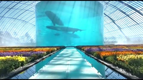 Japan's scariest aquarium, the Deep Sea Horror Park