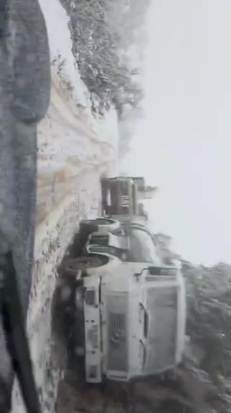 verilindja e shqiperise